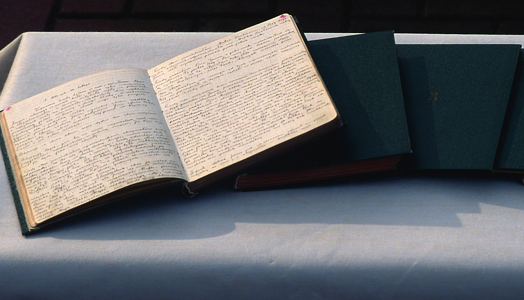 Diary Mercy Saint Faustina Diary Jesus, I trust in You