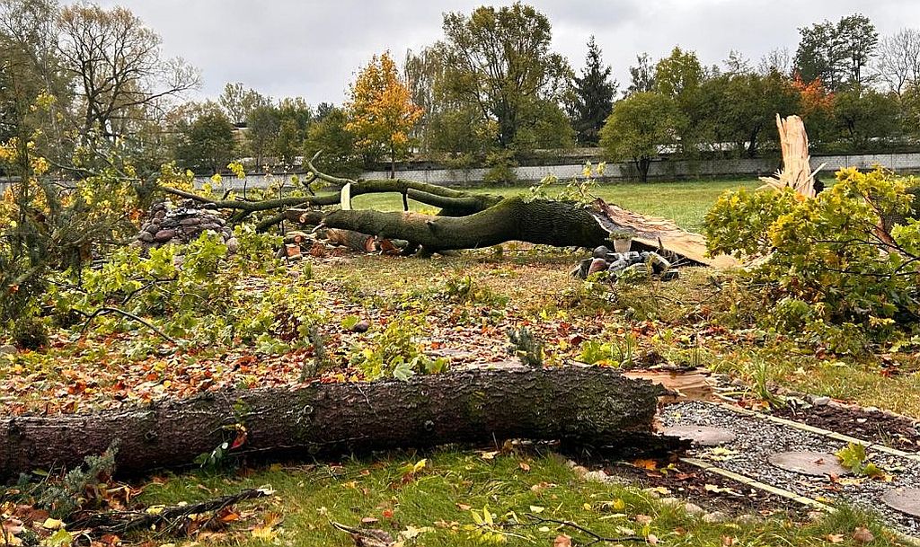 Help for the Convent in Walendów After the Storm